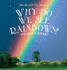 Why Do We See Rainbows? (Tell Me Why, Tell Me How)