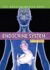 Endocrine System (the Amazing Human Body)