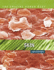 Skin (the Amazing Human Body)