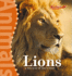 Lions (Benchmark Rockets)