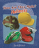 Helmets (How Are They Made? )