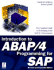 Introduction to Abap/4 Programming for Sap