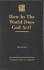 How in the World Does God Act?