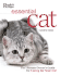 Essential Cat