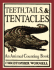 Teeth, Tails, & Tentacles
