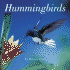 Hummingbirds