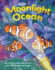 Moonlight Ocean