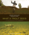 What a Trout Sees: A Fly-Fishing Guide to Life Underwater