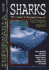 Informania: Sharks
