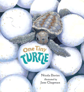 One Tiny Turtle (Read and Wonder)