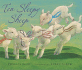 Ten-Sleepy-Sheep