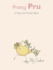 Pretty Pru: a Tilly and Friends Book