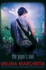 The Piper's Son