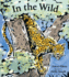 In the Wild (Paws, Fins, Feathers, Claws)