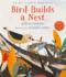 Bird Builds a Nest: a First Science Storybook