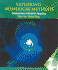 Exploring Numerical Methods