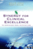 Synergy for Clinical Excellence: the Aacn Synergy Model for Patient Care