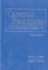 Criminal Procedure: a Contemporary Perspective