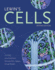 Lewin's Cells: .
