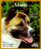 Akitas (a Complete Pet Owners Manual)