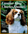 Cavalier King Charles Spaniels: Everything About Purchasing, Care, Nutrition, Behavior, and Training (Barron's Complete Pet Owner's Manuals)