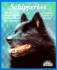 Schipperkes: Everything About Purchase, Care, Nutrition, Breeding, Behavior, and Training (Barron's Complete Pet Owner's Manuals)