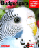 Budgerigars (Complete Pet Owner's Manuals)