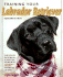 Training Your Labrador Retriever: 2nd Edition (Training Your Dog)