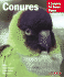 Conures (Complete Pet Owner's Manuals)