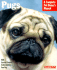 Pugs: Everything About Purchase, Care, Nutrition, Behavior, and Training (Complete Pet Owner's Manual)