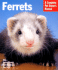 Ferrets (Complete Pet Owner's Manual)