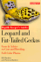 Leopard and Fat Tailed Geckos (Reptile Guidebook Series)
