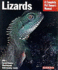 Lizards (Complete Pet Owner's Manuals)