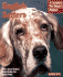 English Setters: Everything About Purchase, Care, Nutrition, and Behavior (Complete Pet Owner's Manual)
