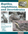 Reptiles, Amphibians and Invertebrates: an Identification and Care Guide