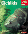 Cichlids (Complete Pet Owner's Manual)