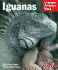 Iguanas: Everything About Selection, Care, Nutrition, Diseases, Breeding, and Behavior (Complete Pet Owner's Manual)
