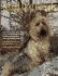 Small Dog Breeds