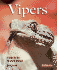 Vipers: a Guide for the Advanced Hobbyist (Complete Pet Owner's Manual)