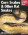 Corn Snakes & Other Rat Snakes