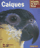 Caiques: Everything About Health, Behavior, Feeding, and Care (Complete Pet Owner's Manual)