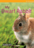 My Dwarf Rabbit (My Pet Series)