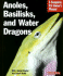 Anoles, Basilisks, and Water Dragons
