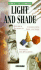 Light and Shade (Barron's Art Handbooks: Green Series)