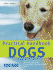 Practical Handbook: Dogs