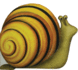 Little Snail (Mini-Creatures Books)