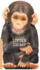 Little Chimp (Mini Look at Me Books)