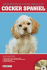 Cocker Spaniel (Barron's Dog Bibles)