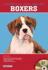 Boxers (B.E.S. Dog Bibles Series)