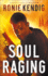 Soul Raging (the Book of the Wars)